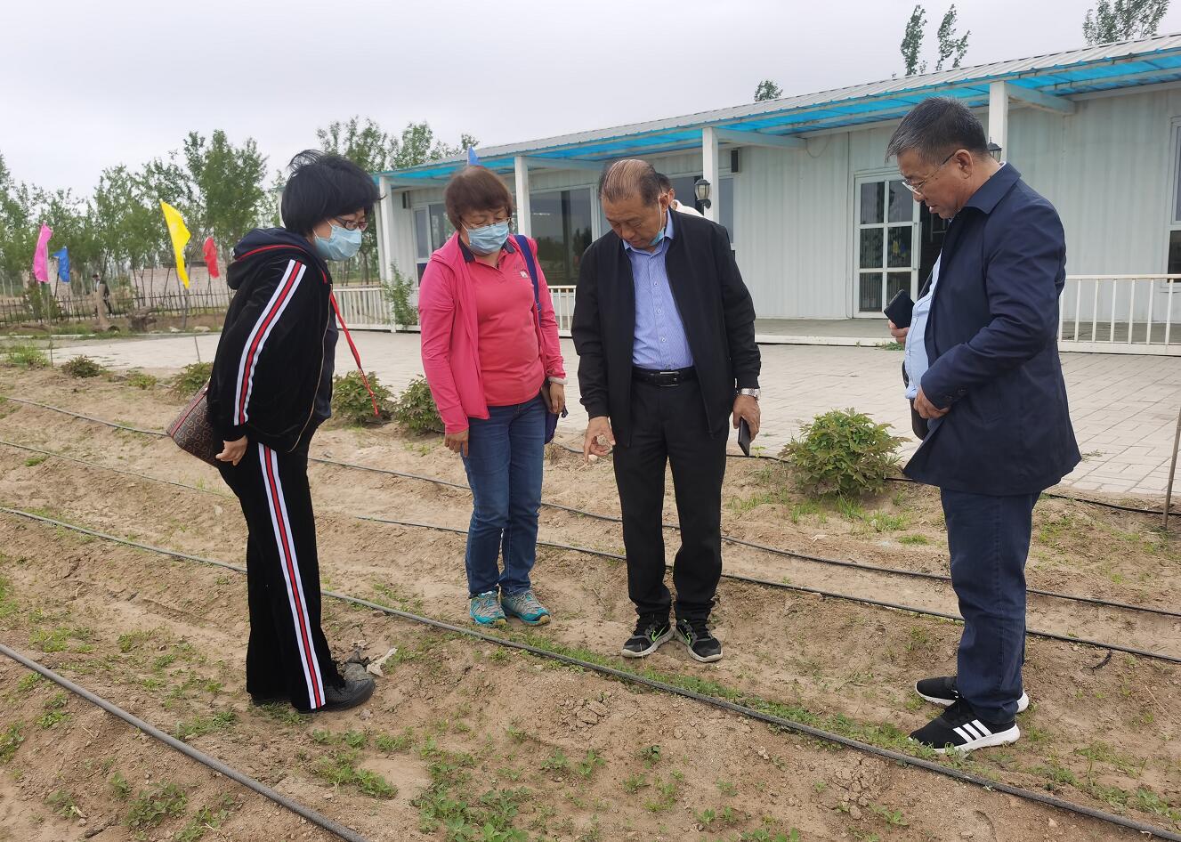 林永亮執(zhí)行會(huì)長(zhǎng)到國(guó)豆公司考察調(diào)研